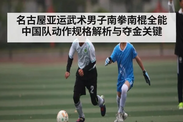名古屋亚运武术男子南拳南棍全能中国队动作规格解析与夺金关键 | kaiyun